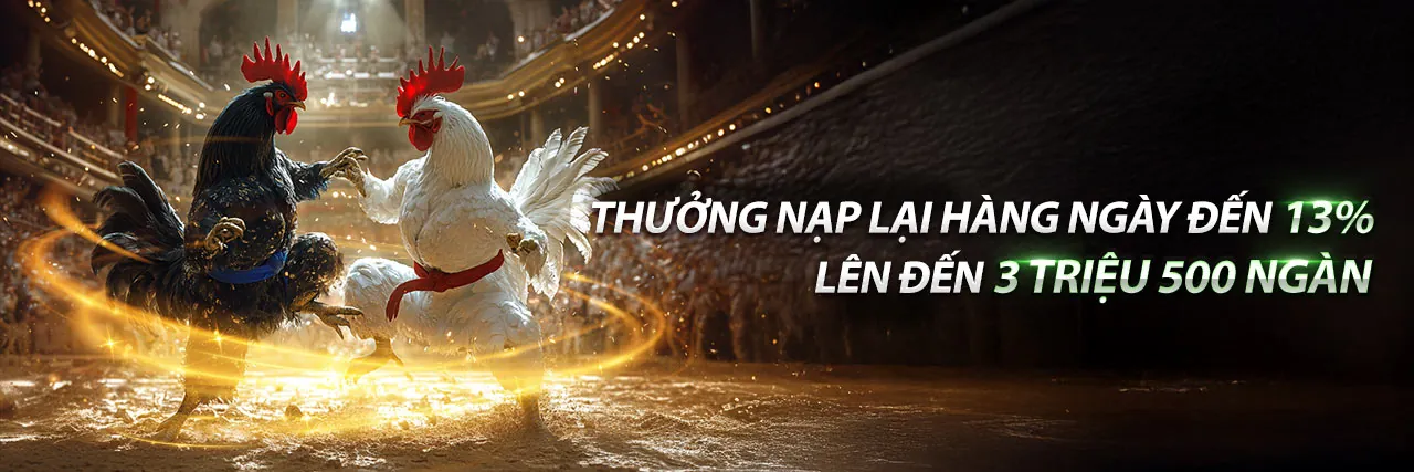 Đá gà trực tuyến sôi động tại bet168 chính thức